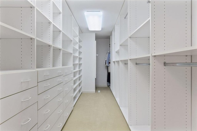 walk in closet with light carpet