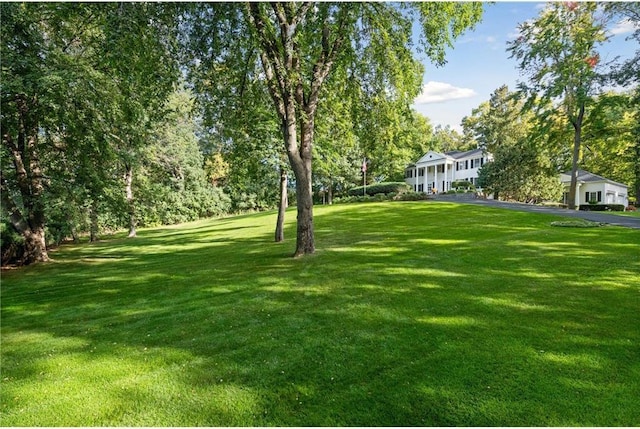 view of yard with driveway