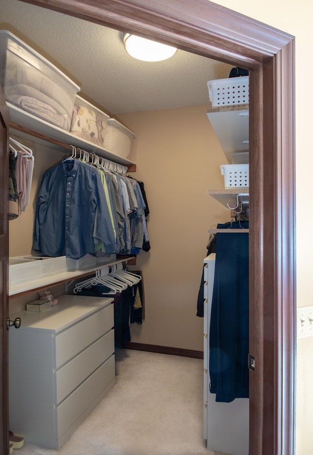 view of spacious closet