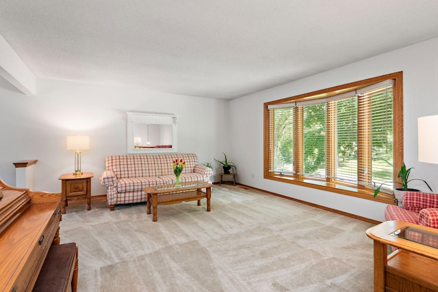 4879 Mayelin Ave NE, Saint Michael, MN 55376 - living room featuring light colored carpet