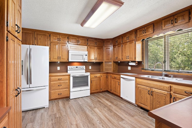 4879 Mayelin Ave NE, Saint Michael, MN 55376 - kitchen with white appliances, light wood finished floors, brown cabinetry, a textured ceiling, and light countertops