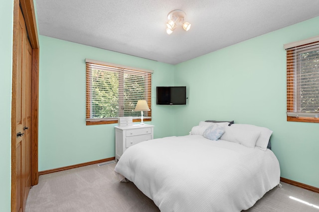 4879 Mayelin Ave NE, Saint Michael, MN 55376 - bedroom featuring light carpet, multiple windows, and a closet