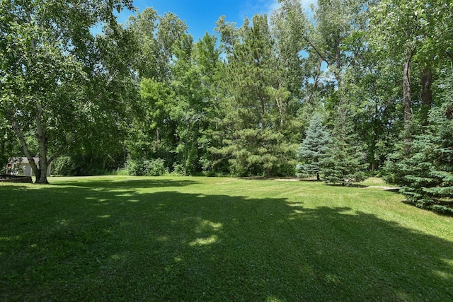 4879 Mayelin Ave NE, Saint Michael, MN 55376 - view of grassy yard