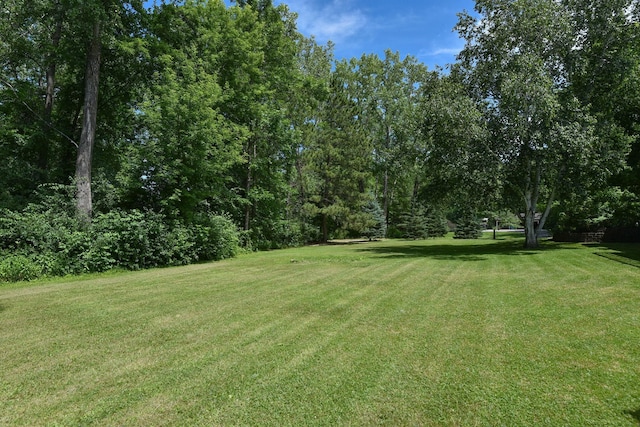 4879 Mayelin Ave NE, Saint Michael, MN 55376 - view of grassy yard