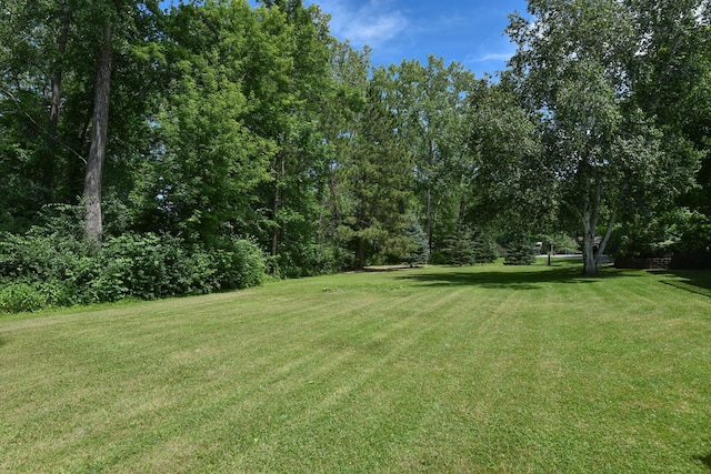 4879 Mayelin Ave NE, Saint Michael, MN 55376 - photo 34