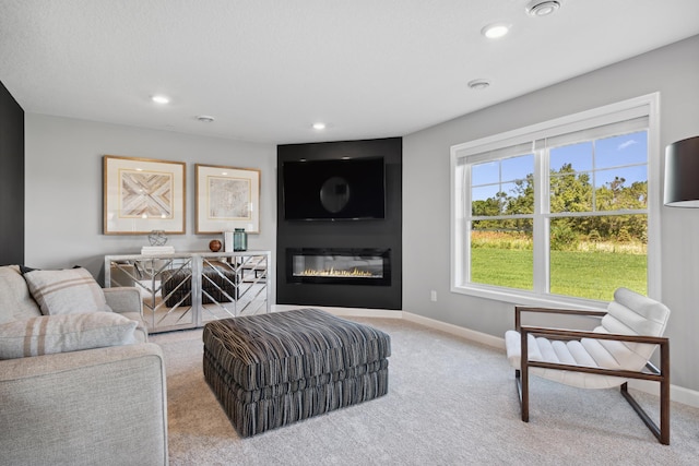 view of carpeted living room