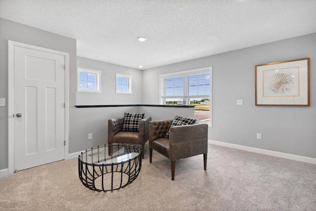 sitting room with carpet flooring and a textured ceiling