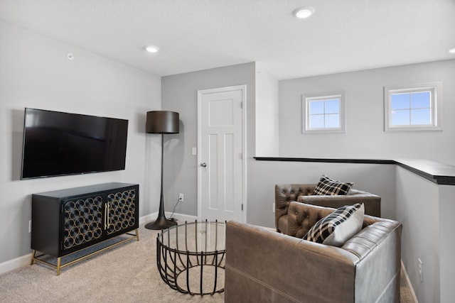 living room featuring carpet