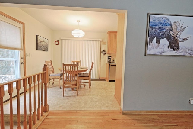 dining room with light hardwood / wood-style floors