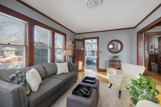 living room featuring ornamental molding and light hardwood / wood-style floors