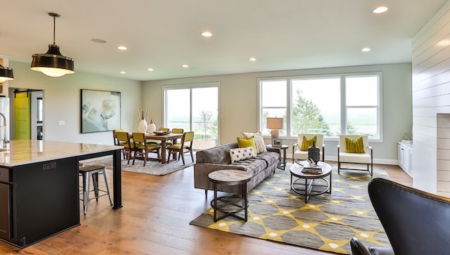 living room featuring light hardwood / wood-style flooring and a barn door