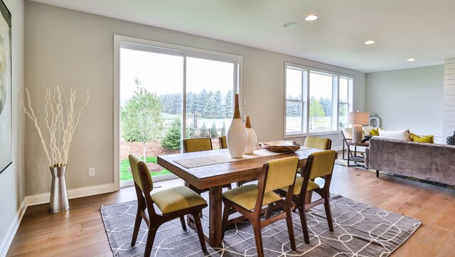 dining room featuring wood-type flooring