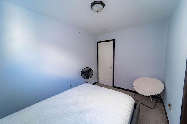 bedroom featuring carpet floors