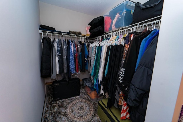 view of walk in closet