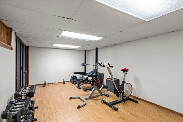 workout room featuring a paneled ceiling and hardwood / wood-style floors