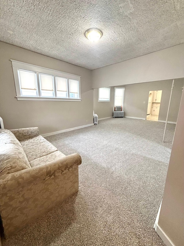 living area featuring radiator, a textured ceiling, and carpet flooring