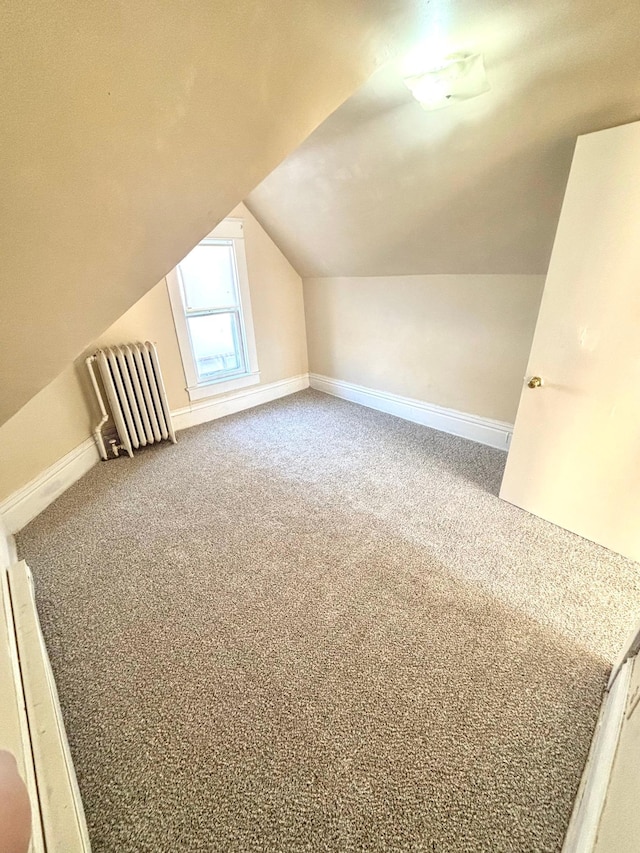 additional living space featuring carpet and lofted ceiling