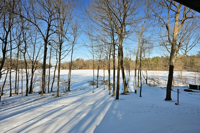 view of snowy yard