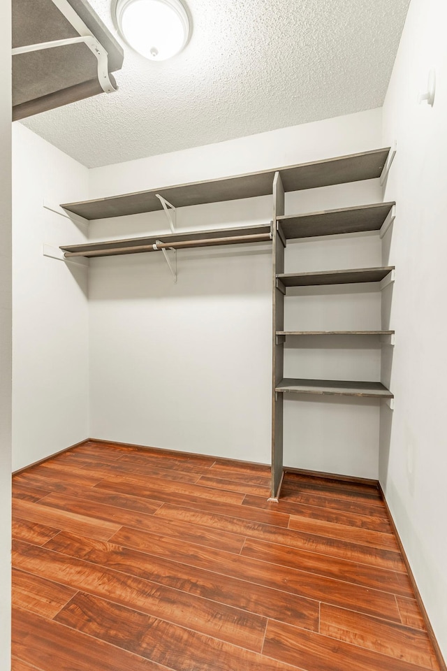 spacious closet featuring dark wood-style flooring