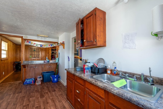 kitchen with sink, a textured ceiling, dark hardwood / wood-style flooring, and wood walls