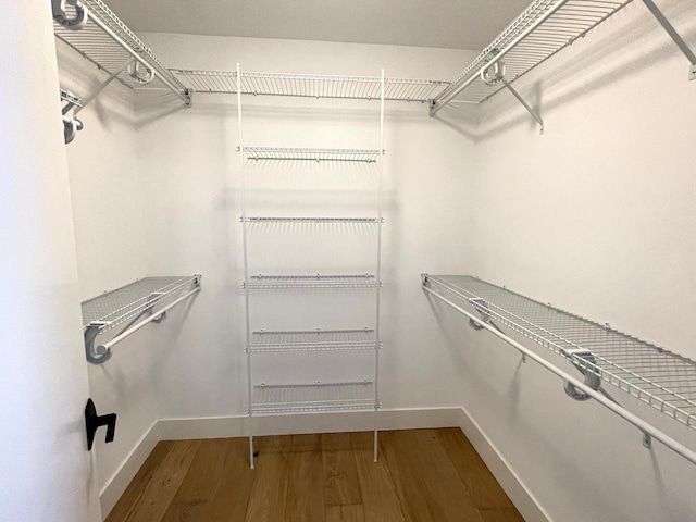 walk in closet featuring hardwood / wood-style floors