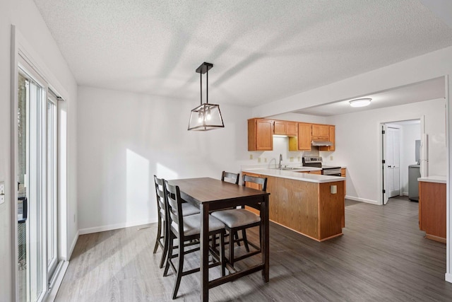 dining room with dark wood-style floors, a textured ceiling, and baseboards