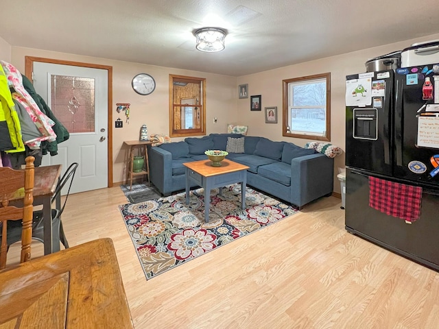 living room featuring light hardwood / wood-style floors