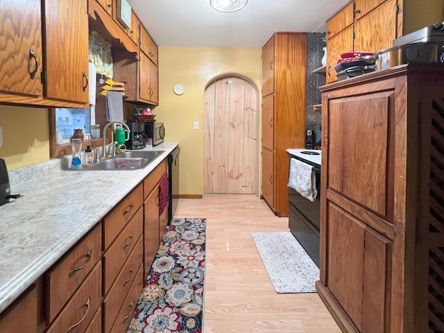 kitchen featuring dishwasher, sink, and light wood-type flooring