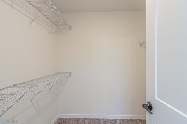 walk in closet with light carpet