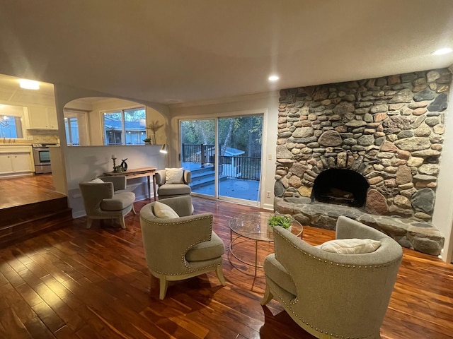 living room featuring a fireplace and dark wood-type flooring