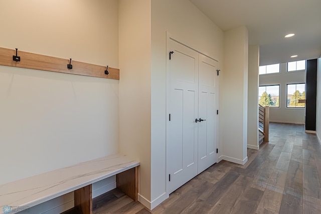 mudroom featuring dark wood-type flooring