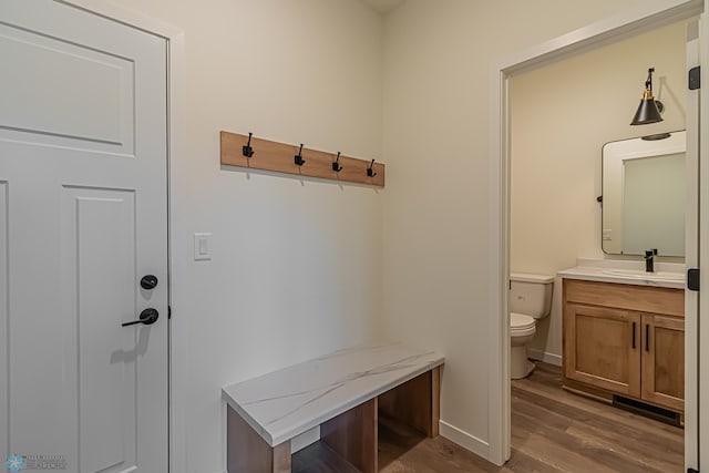 mudroom featuring sink and hardwood / wood-style flooring