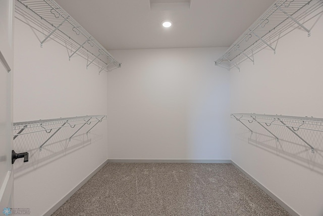 1264 Marlys Dr W, West Fargo, ND 58078 - spacious closet with carpet floors