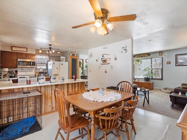 dining space with light floors