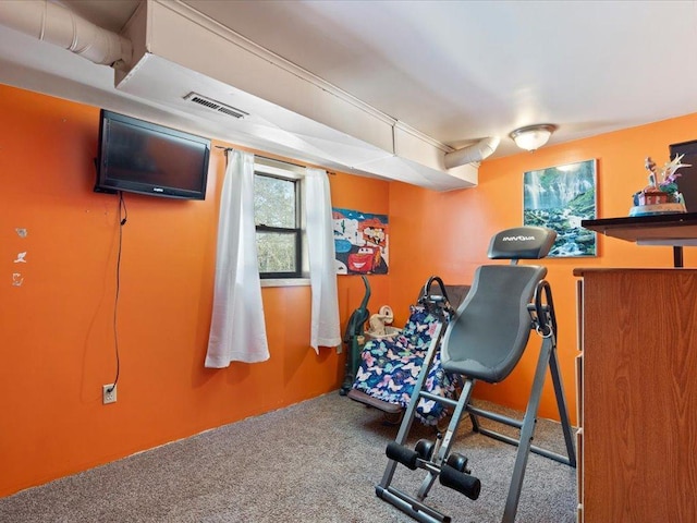 31552 County 23, Akeley, MN 56433 - workout area featuring carpet flooring and visible vents