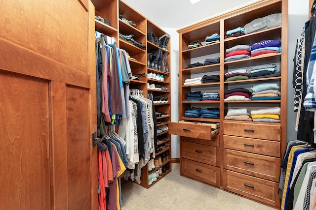 spacious closet featuring light colored carpet