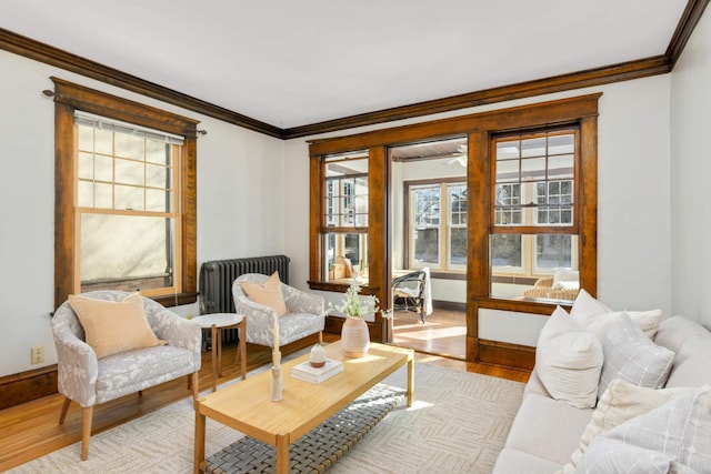 living area featuring light wood-style floors, a wealth of natural light, radiator, and ornamental molding