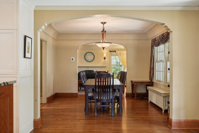 dining space with crown molding, radiator heating unit, and dark hardwood / wood-style floors