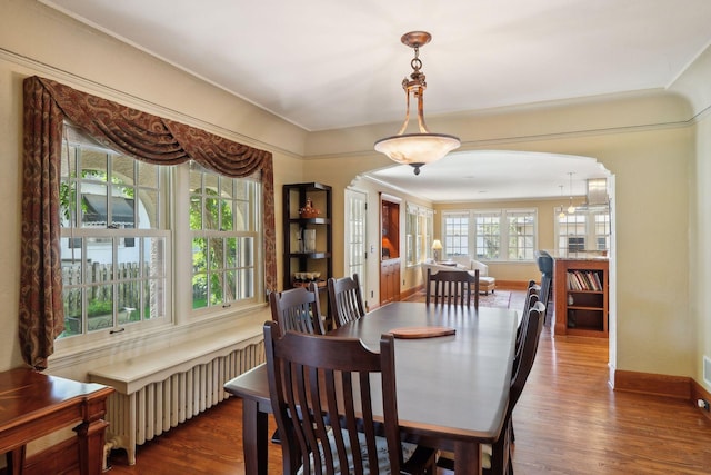 dining space with dark hardwood / wood-style flooring