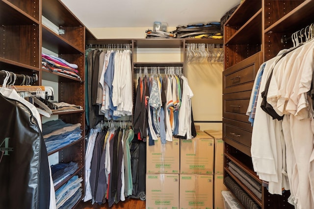 view of walk in closet