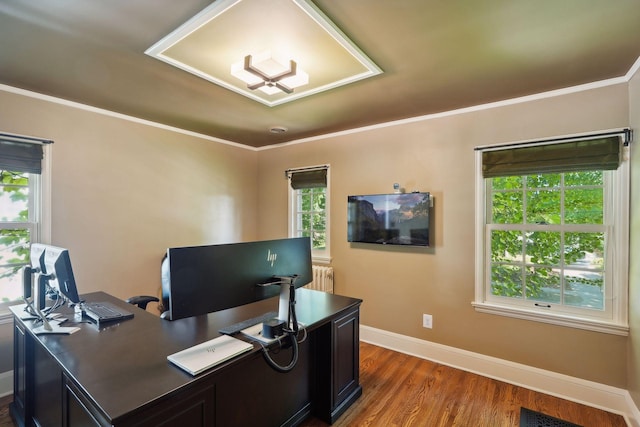 office featuring crown molding, dark hardwood / wood-style flooring, and radiator