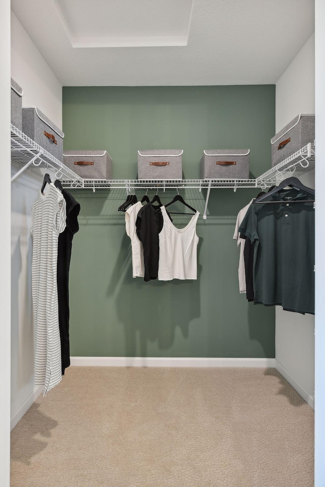 spacious closet with a tray ceiling and carpet