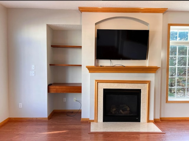 details featuring baseboards, wood finished floors, and a glass covered fireplace