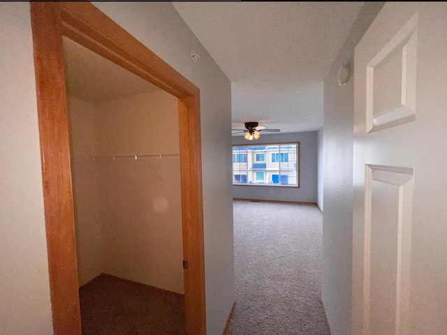 hallway featuring carpet