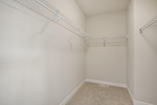 spacious closet featuring carpet floors