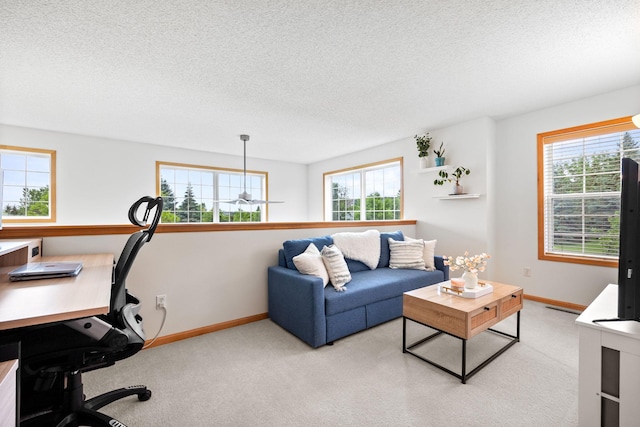 13905 52nd Ave N Unit 701, Plymouth, MN 55446 - office area featuring a textured ceiling, light colored carpet, and plenty of natural light
