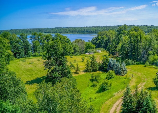 000 Bittersweet Rd NE, Bemidji MN, 56601 land for sale