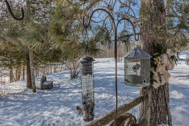 view of yard layered in snow