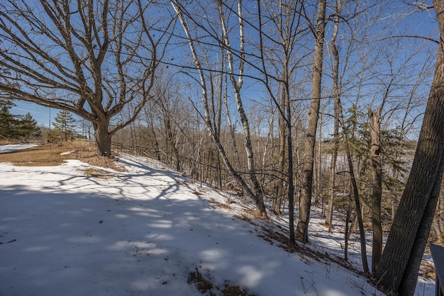 view of yard covered in snow