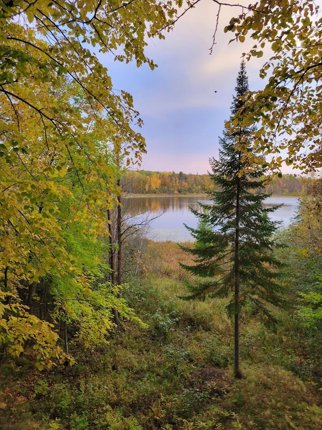 view of water feature featuring a wooded view